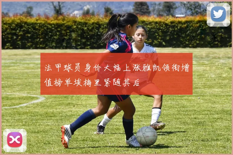 法甲球员身价大幅上涨雅凯领衔增值榜单埃梅里紧随其后