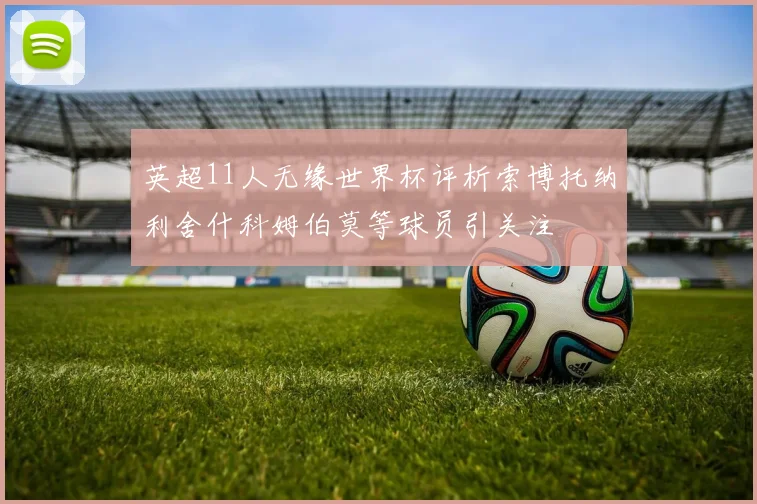 英超11人无缘世界杯评析索博托纳利舍什科姆伯莫等球员引关注